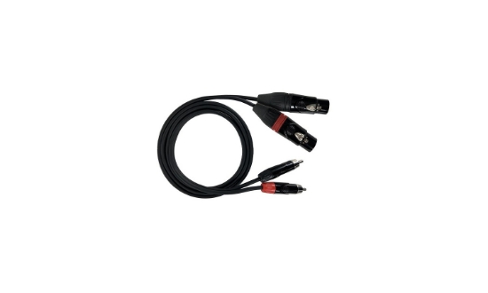 Immagine di CAVO AUDIO 2 SPINOTTI RCA  2 PRESE XLR1.5 M