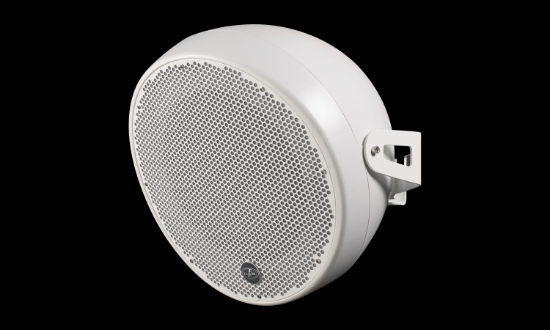 Immagine di 300 W, 12" COASSIALE DUE VIE AMPIA GAMMA, POLIPROPILENE, IP54, BIANCO