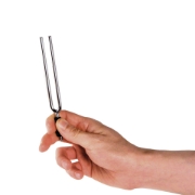 Immagine di Diapason MI D'Addario Accessories