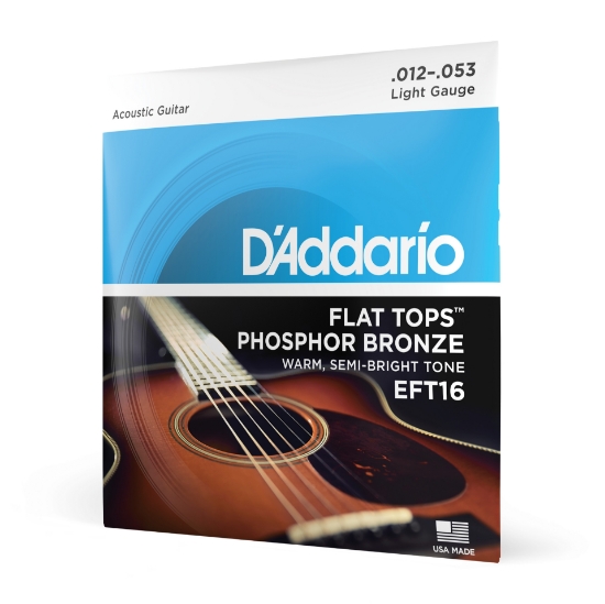 Immagine di Corde D'Addario EFT16 Flat Tops in bronzo fosforoso per chitarra acustica, Light, 12-53