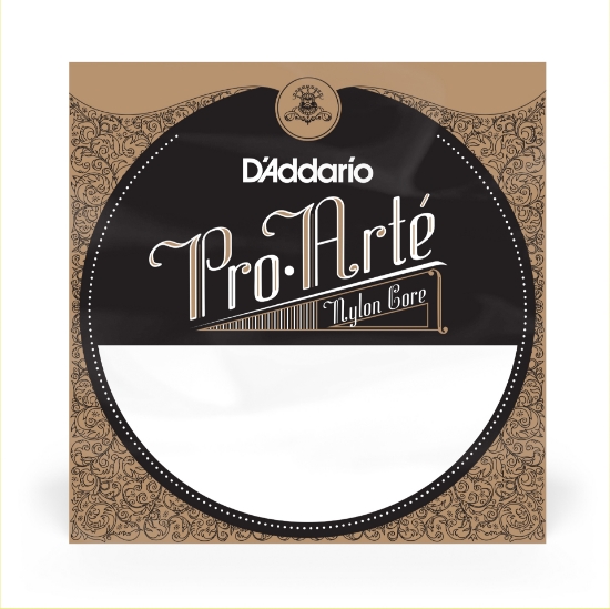 Immagine di Corda singola D’Addario NYL024W classica in rame argentato, .024