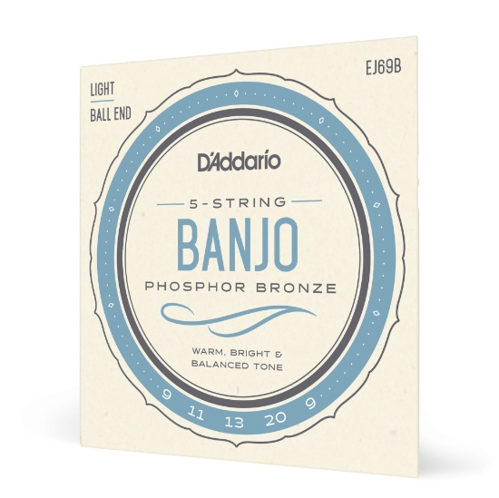Immagine di D'Addario EJ69 5-String Ball-End Banjo Strings, Phosphor Bronze, Light, 9-20