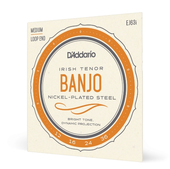 Immagine di D'Addario EJ63i Irish Tenor Banjo Strings, Nickel, 12-36