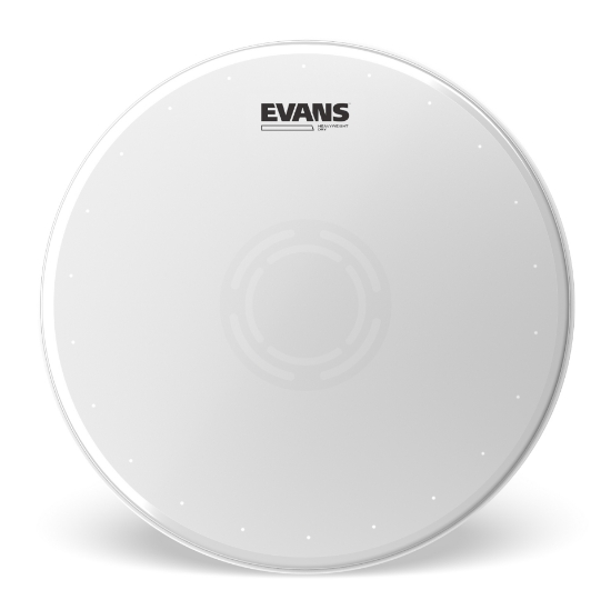 Immagine di Pelle EVANS Heavyweight Dry, 14 pollici