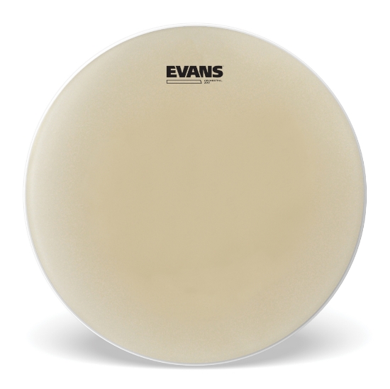 Immagine di Pelle trasparente EVANS Orchestral 200 per rullante, 14 "