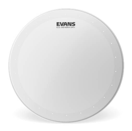 Immagine di Pelle EVANS Genera Dry, 13 "