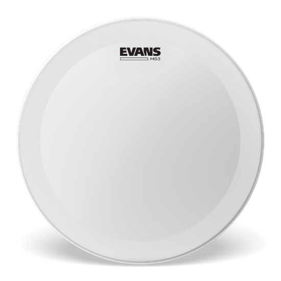 Immagine di Pelle trasparente EVANS MS3 per rullante da banda, 14 "