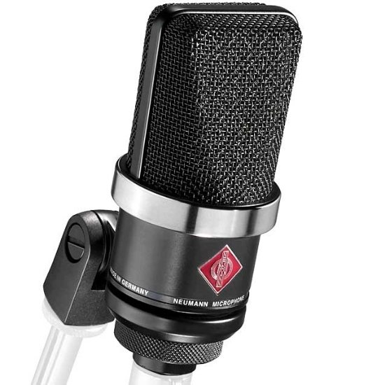 Immagine di TLM 102 mt
