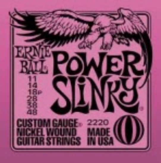Immagine di ERNIE BALL - Muta per chitarra elettrica