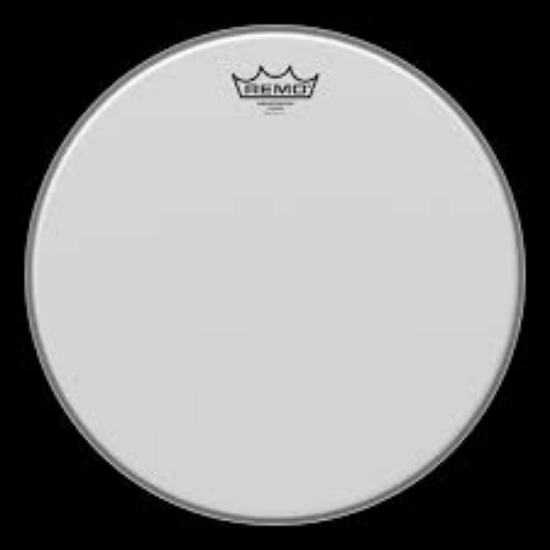 Immagine di REMO - Pelle 13" Weatherking ambassador coated