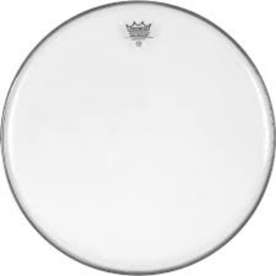 Immagine di REMO - Pelle weatherking ambassador clear 10"