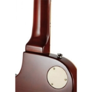 Immagine di EKO - Chitarra elettrica VL 480 Honey Burst Flamed