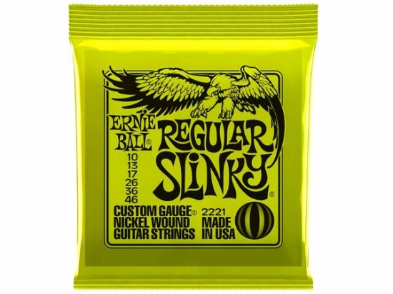 Immagine di ERNIE BALL - Muta per chitarra elettrica 010